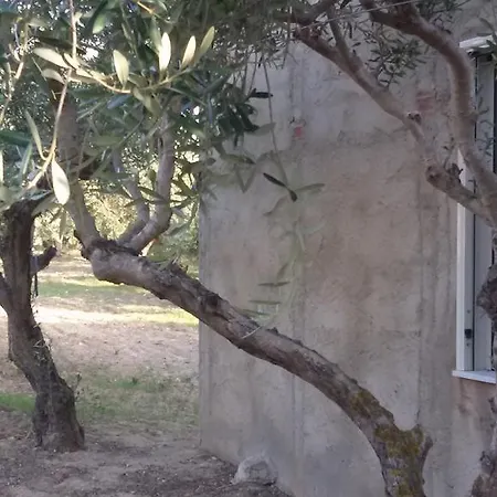 Country House Senia Casa de Campo